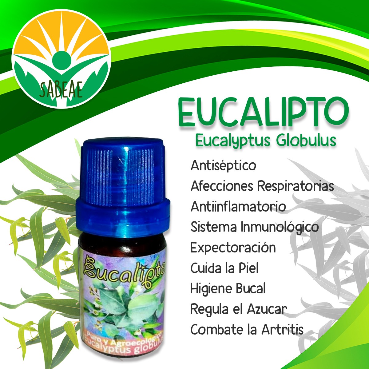 Aceite esencial eucalipto – Sabeae – Mercado Agroecológico