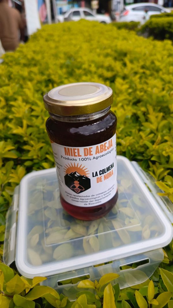 Miel de abejas 300 gr - La Colmena de Nora