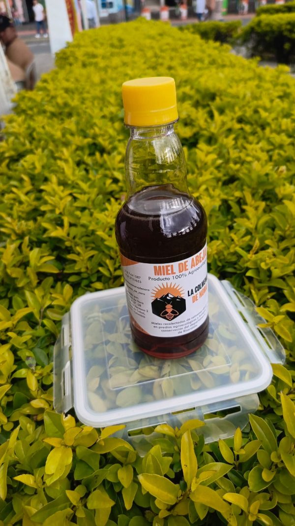 Miel de abejas envase PET 500 gr - La Colmena de Nora