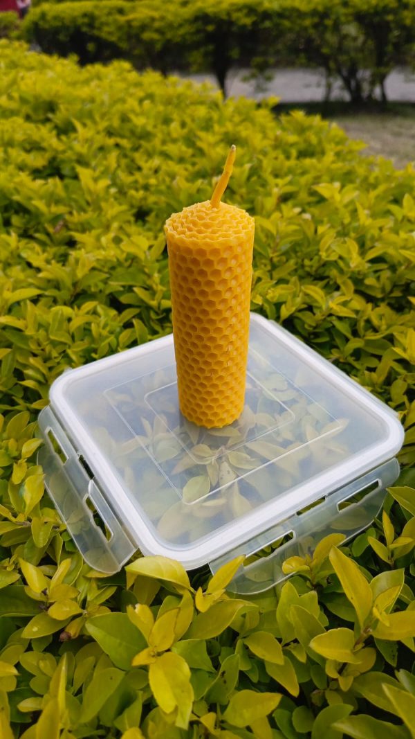 Vela de Cera de Abeja - La Colmena de Nora