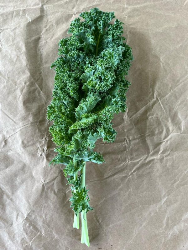 Kale rizado verde - Oromáticas