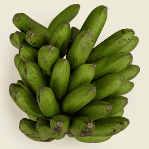 Plátano popocho - Finca Agroecológica Vaupés