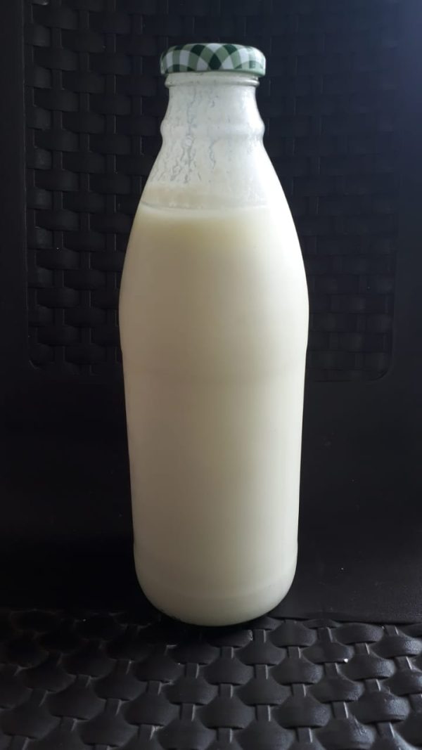 Kéfir de leche de cabra - Finca Agroecológica Vaupés