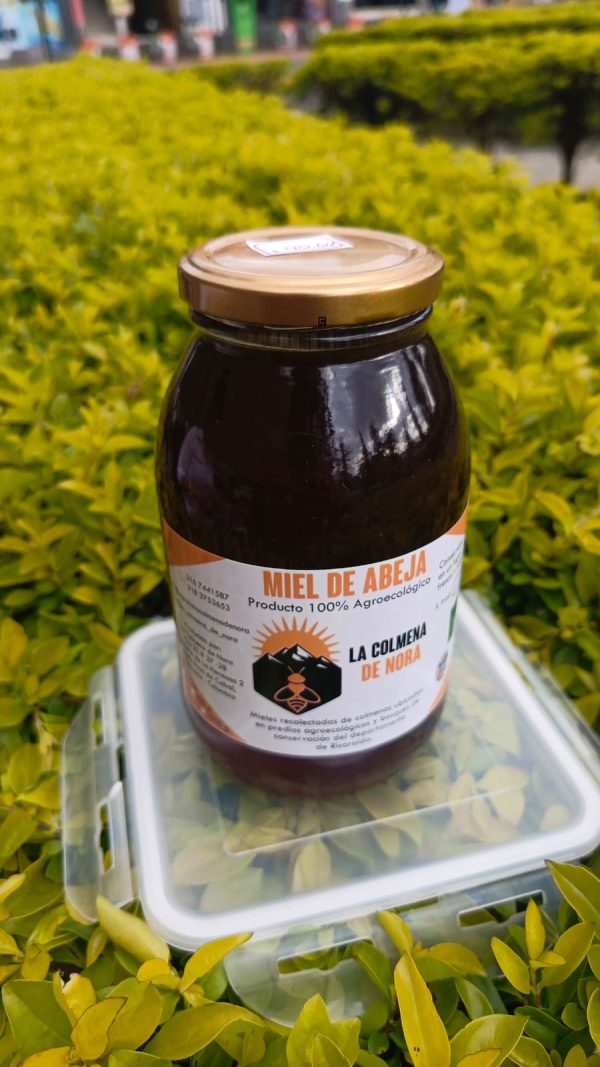 Miel de abejas 1000 gr- La Colmena de Nora