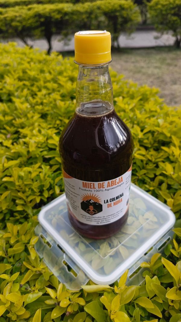 Miel de abejas (PET) 1000 gr- La Colmena de Nora