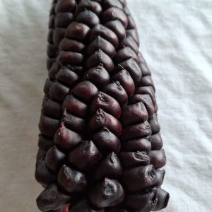 Semilla de maíz morado - Ancestral