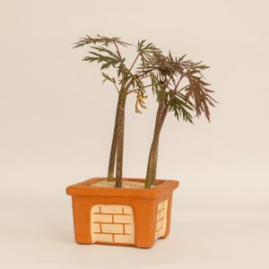 Bosques de Armonía matera barro tipo ladrillo 13 x 9 (cm) - Vivero Iris