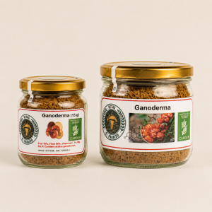 Ganoderma  15 y 30 (g)- Setas Del Eje.