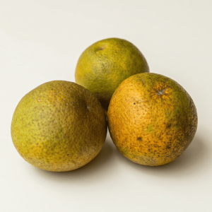 Naranjas- Marleny Garcia