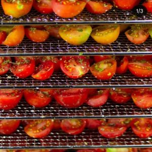 Tomate cherry deshidratado al escabeche 130 (ml) - Finca Despertar