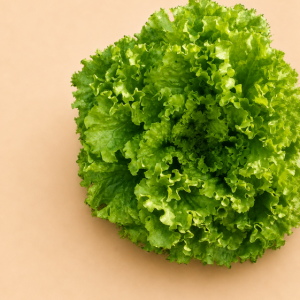 Lechuga crespa caipira - Escuela Agroecológica Los Cascabeles